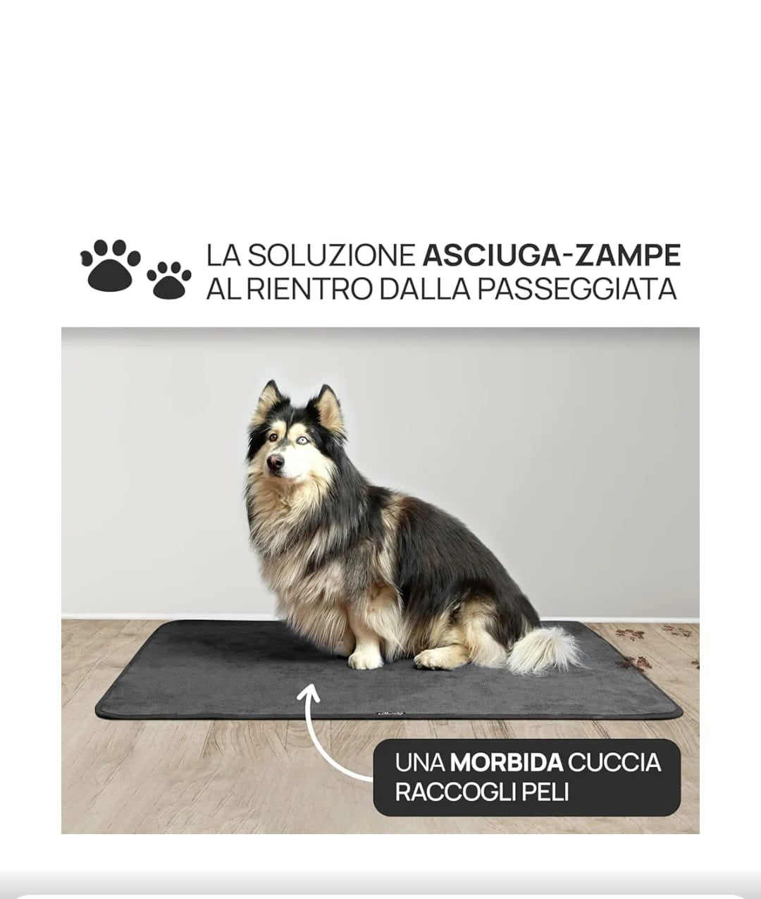 Tappeto Magico Aladino - Zerbino Assorbente Antiscivolo Lavabile